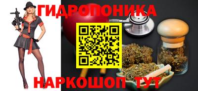 ешки Боровичи