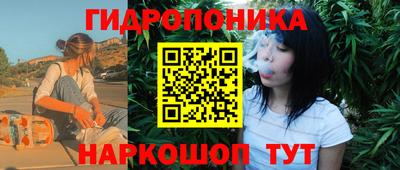 Альфа ПВП Братск
