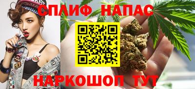 ешки Боровичи