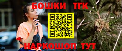 ешки Боровичи